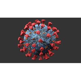 3D Coronavirus Animated